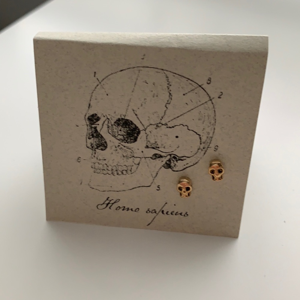 NWT Skull Studs